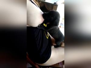 Woman breastfeeding puppy in shocking zoophilia scene