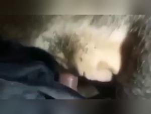 animal sex coco triple x