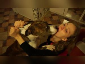 Woman and dog: a beastly love story