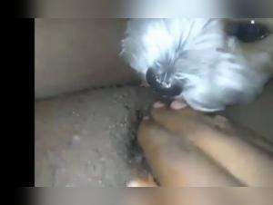 Bestial encounter: a woman and her dog