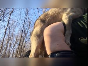 A beastly encounter in the forest