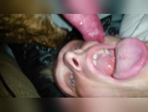 Zoophilie : Une femme et son chien dans une vidéo choquante