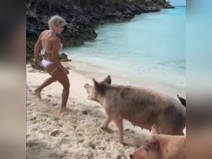 Forbidden Meeting: Woman and Dog