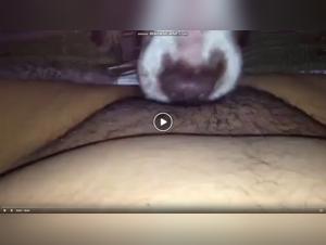 Woman and Dog: A Passionate Encounter