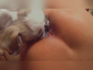 Bestial encounter: teenager and dog