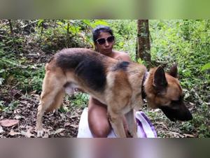 Lina and her insatiable appetite for canine sex