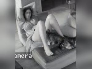 delving into taboo animal realms