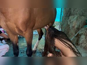 La putita asiatica hace el sexo con un caballo caliente en la Prairie Zoo en tube zoo