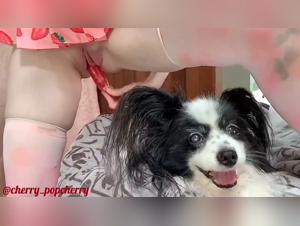 Doggy Pleasure Compilation - Lick, Suck and Play