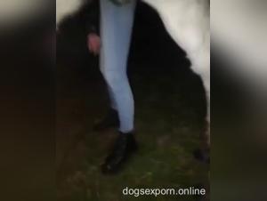 Woman enjoys sex with her horse and big dick, animal fuck, brunette prostitute sucks dog