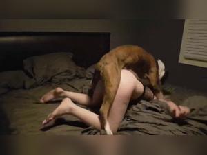 Curvy women and bestiality: hard and intense videos