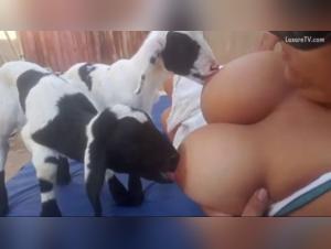 art of zoo soziale verantwortung