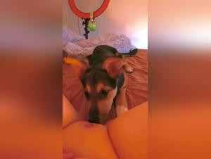 Sex mit einem Hund: BBW und Hund