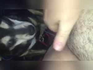 Bestiality Sex Video: An Intense Experience with a Dog