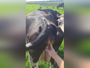 naughty vacation memories