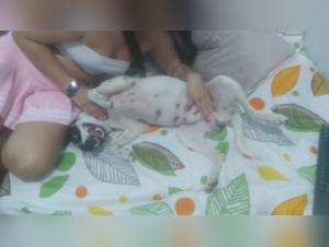 Extreme Bestiality: A Colombian Woman and Her Best Friend