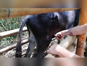 Dog fucking in Porno videos - Hot porn star fucks her dog