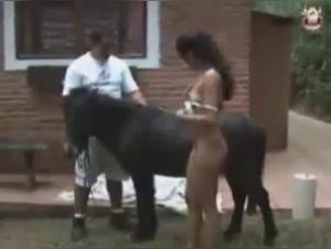 Latin woman having fun with a horse - Extreme bestiality video