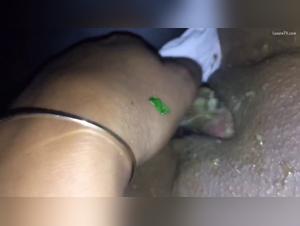 Snail and cat: a bestial encounter