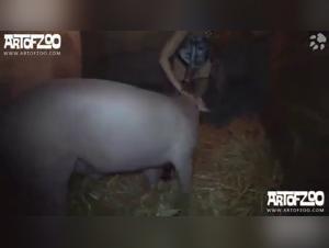 bestialitysex and animal sex