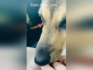 Dogtube Presents: Intimate Tiersex Scenes