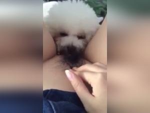 Asian woman and her dog: a video of extreme zoophilia