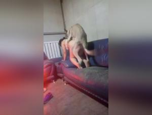 Extreme Bestiality Video
