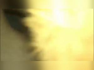 beastly encounter zoophilia