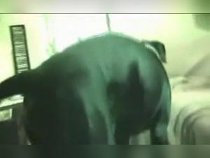 A woman and her dog in an intense and passionate relationship