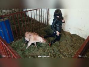 Forbidden Perversion: A Bestial Experience