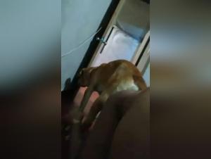 The Unexpected Encounter: A Flicker of Desire