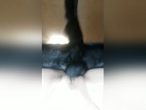 Sex Scene with a Dog