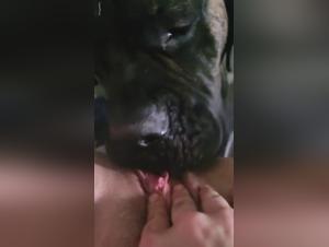 explorando lo oscuro: beastiality