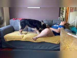 bbw and dog on couch