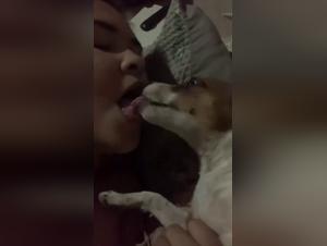 petlust and tickzoo tv