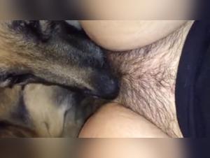 German dogs unite for intense sexual experience