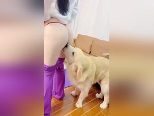 Instinto animal: denise frazier dog