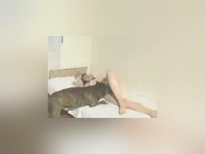 Dog Sex Video: A Woman and Her Best Friend