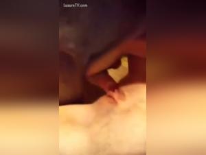 seduce your dog in zoo