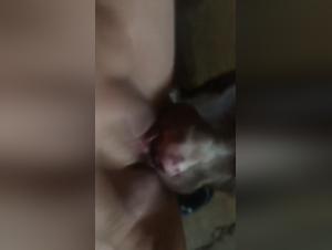 A dog cleans a squirting pussy in this zoophilia video