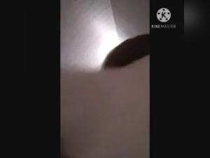 Woman and dog: a shocking relationship