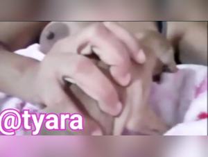 Woman and dog: a shocking bestiality video