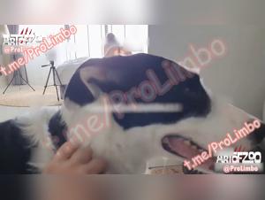 coco en el proyecto mogul