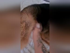 Woman and dog: a forbidden relationship