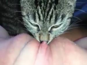 Dog Sex Video - Extreme Bestiality