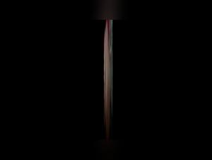 Forbidden meetings: zoophilia and bestiality