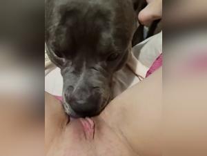 Video di sesso con cane: scopri l'intimita di una donna e del suo animale domestico