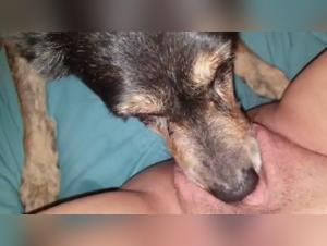 A Bestial Sex Experience with a Dog