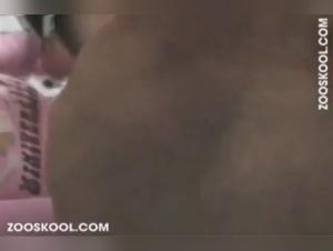 StrayX and Her Dog's Intense Bestiality Scene