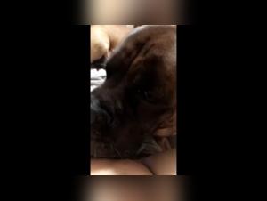 Bestiality: Teenage female dog gets licked by a dog